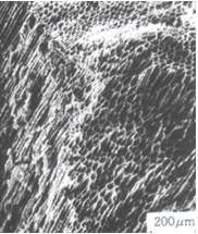 Dust protection mask