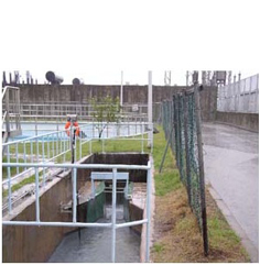 Raw wastewater treatment agent